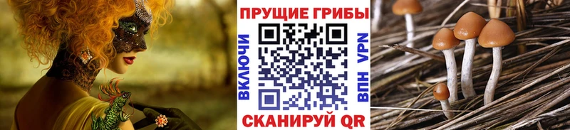 Псилоцибиновые грибы ЛСД  Оса 